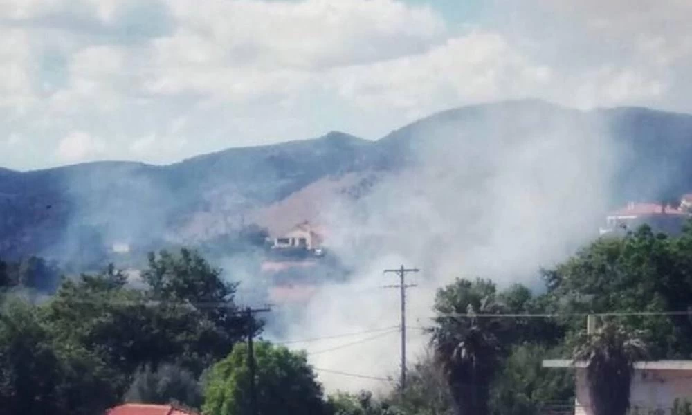 Υπό έλεγχο φωτιά που ξέσπασε κοντά σε σπίτια στα Νέα Στύρα Ευβοίας